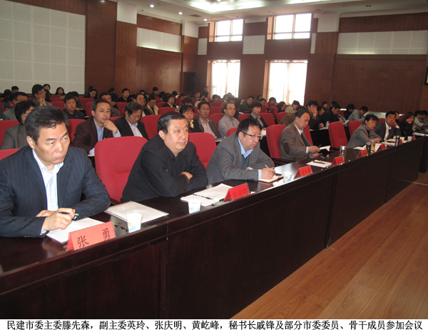 民建市委主委滕先森,副主委英玲、张庆明、黄屹峰,秘书长戚锋及部分市委委员、骨干成员参加会议